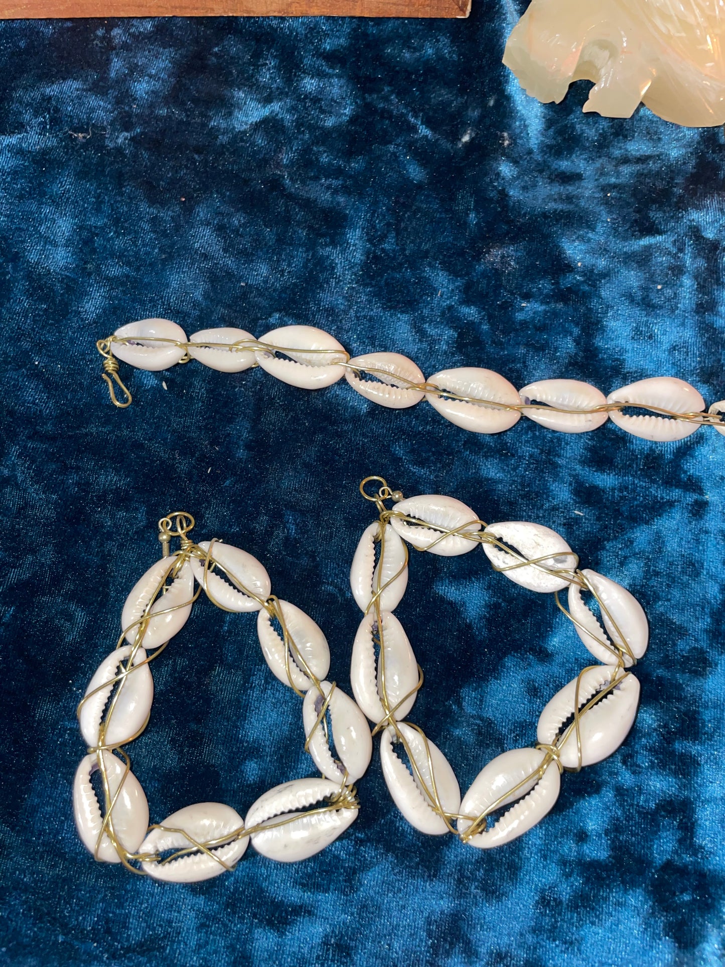Cowry Set