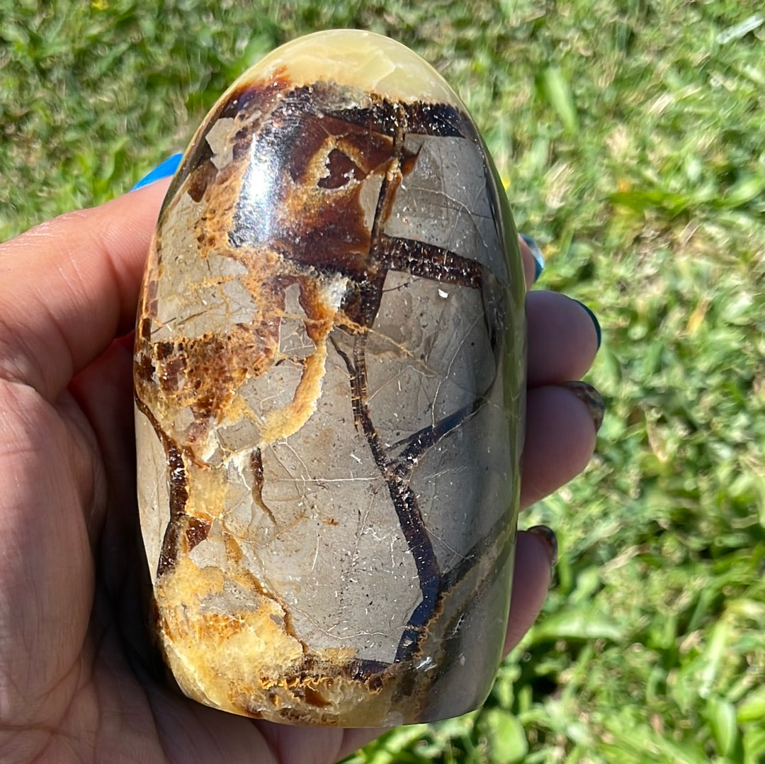 Septarian Calcite Dinosaur Egg